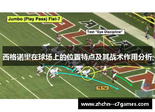 西格诺里在球场上的位置特点及其战术作用分析