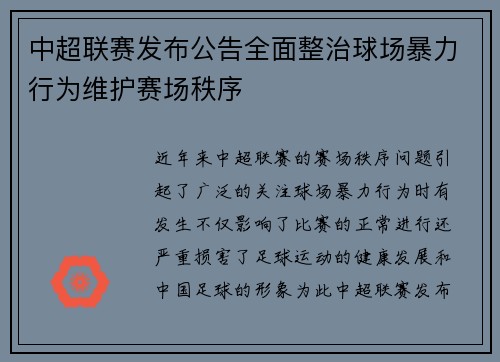 中超联赛发布公告全面整治球场暴力行为维护赛场秩序